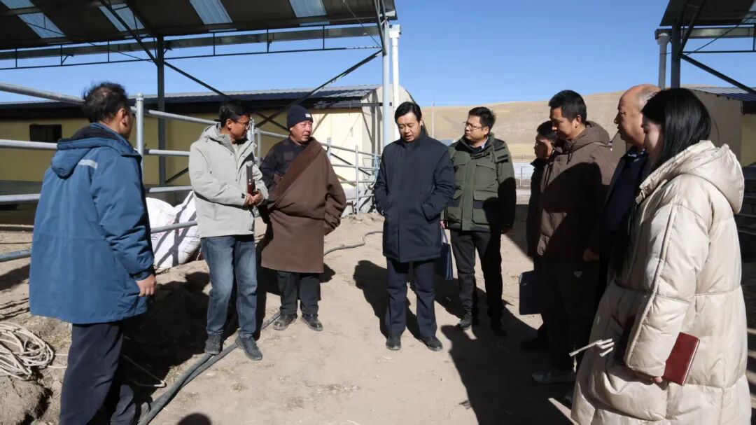 张启峰赴吉尔孟乡、沙柳河镇调研重点工作落实情况