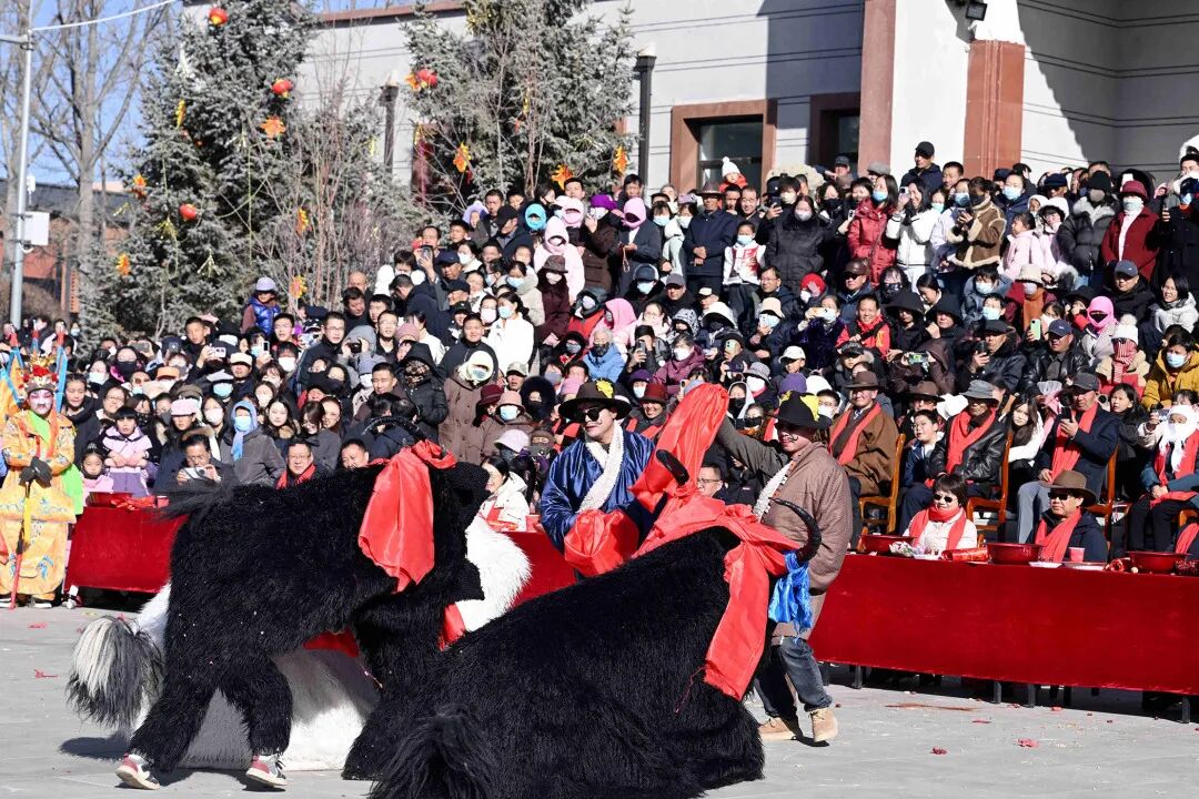 微信图片_20260303155359_45_139.jpg 微信图片_20260303155359_45_139.jpg