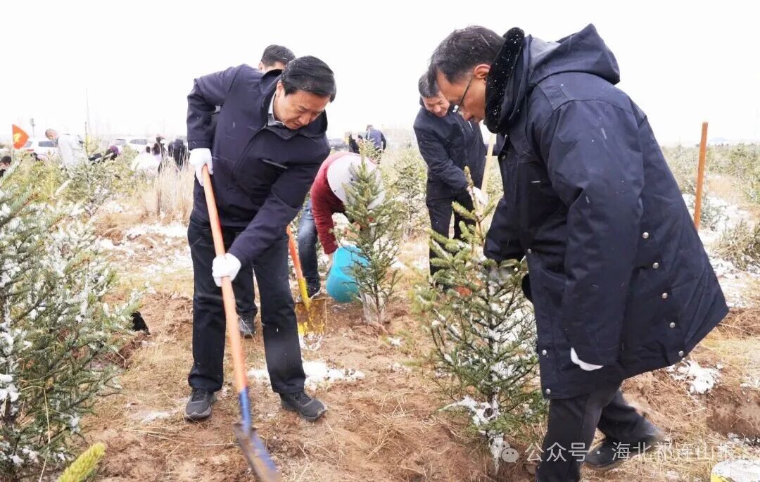 微信图片_20260427172452_149_281.jpg 微信图片_20260427172452_149_281.jpg