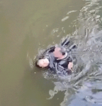 7.gif