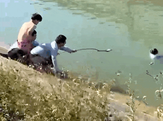 5.gif