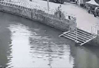 4.gif