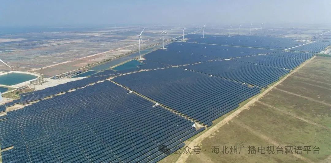 1736300672483924.jpg 图片